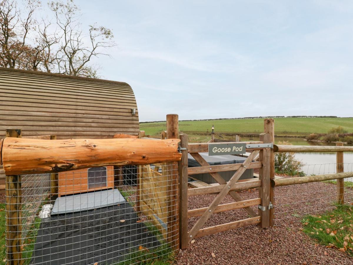 Goose Pod Villa Worcester Buitenkant foto